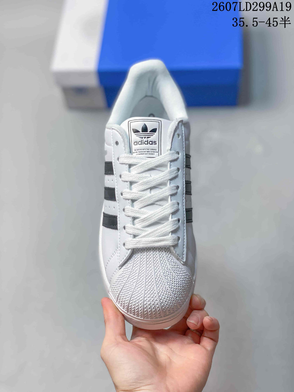 Front view of a white adidas Superstar sneaker showing white laces, Trefoil tongue branding and a textured shell toe.
