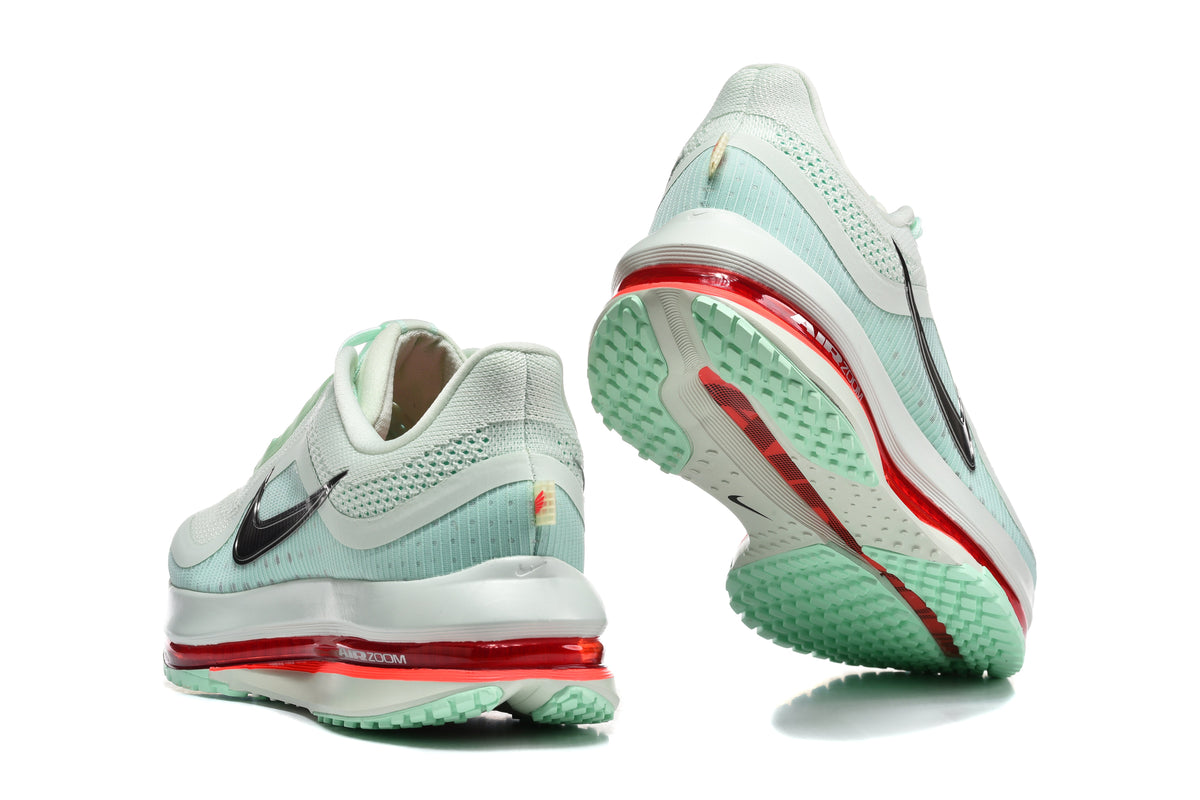 Nike Pegasus Premium SE Sneakers Green Silver HQ2592-301