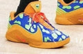 Nike LeBron 22 basketball shoe in blue and orange with patterned panels