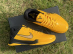 Top and side views highlighting the laces, tongue logos, and metallic-look Swooshes.