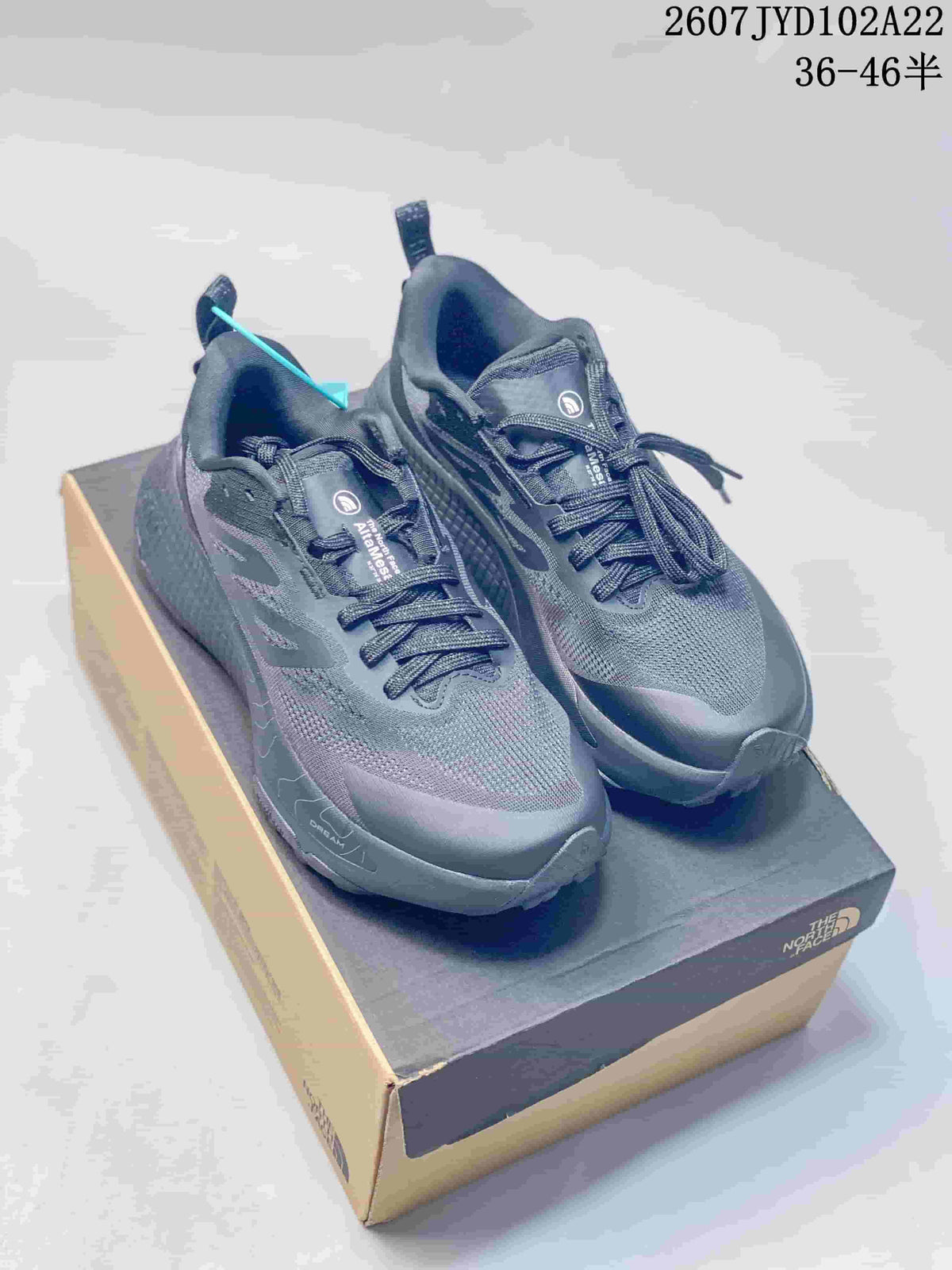 Pair of dark gray The North Face Altamesa 500 sneakers displayed on a shoe box.