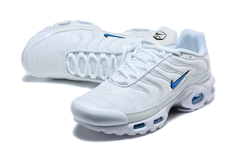 Nike Air Max Plus White and Blue Sneakers DM0032-109