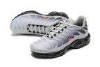 Nike Air Max Plus Sneakers in Grey and Black