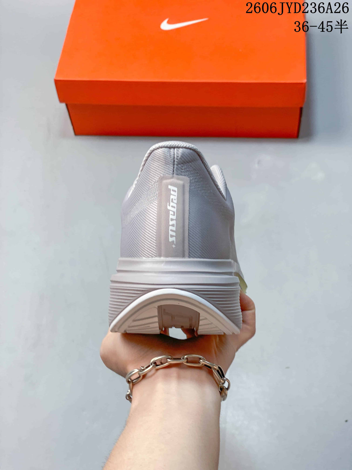 Rear view of the silver-gray Nike Pegasus Plus shoe.