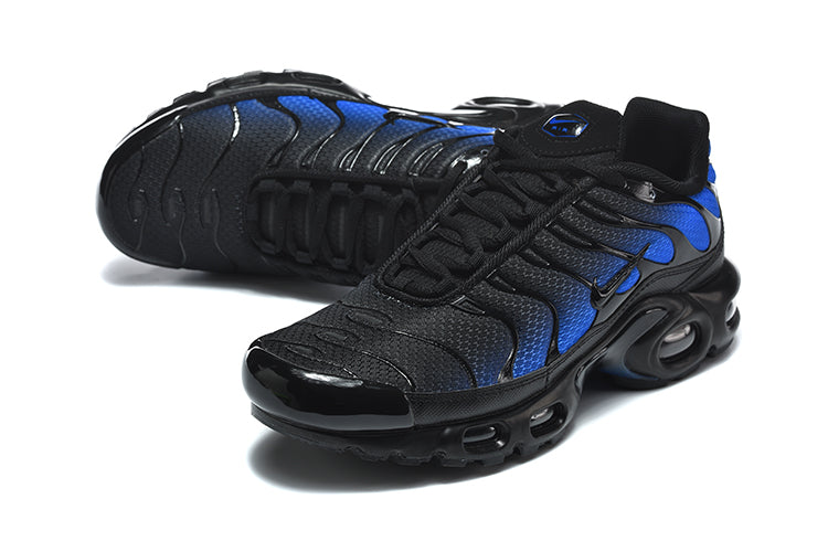 Nike Air Max Plus Black and Blue Sneakers DM0032-041